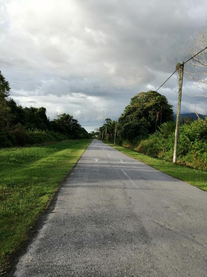 Aa Homestay Mulu Buitenkant foto